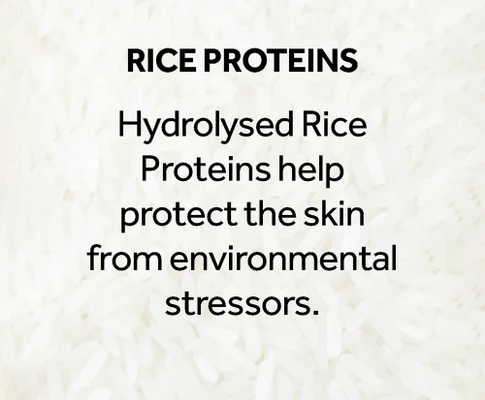Rice proteins. Hydrolysed Rice Proteins help protect the skin from environmental stressors.